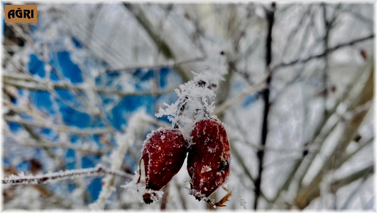 Ağrı'da ilkbaharda da soğuklar etkisini sürdürüyor