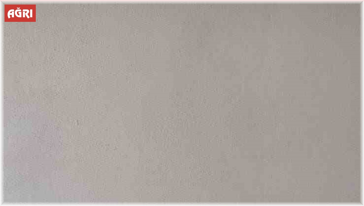 Ağrı'da İran plakalı otobüste 82 uyuşturucu hap ile 300 paket kaçak sigara ele geçirildi