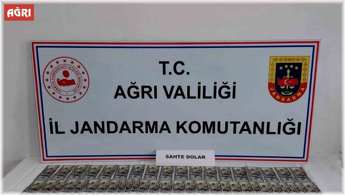 Ağrı'da Jandarmadan sahte dolar operasyonu