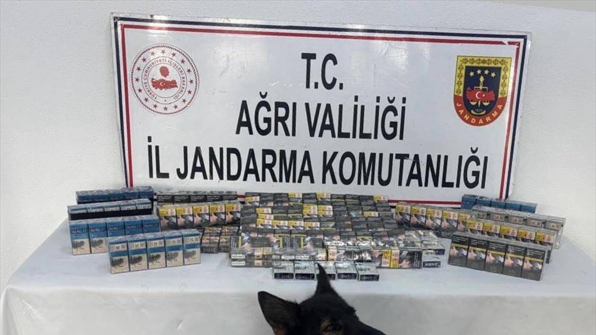 Ağrı'da kaçak sigaralarla yakalanan 4 şüpheli gözaltına alındı