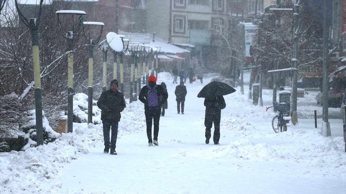 Ağrı'da kar etkili oldu