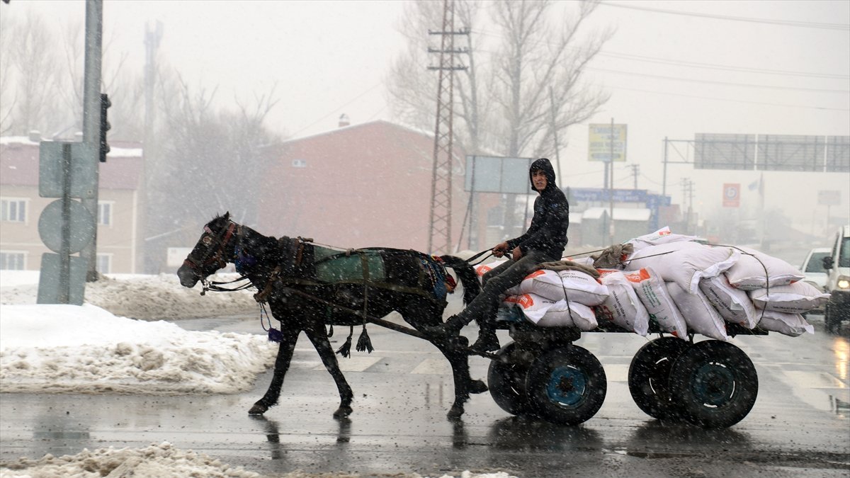 Ağrı'da kar etkili oluyor