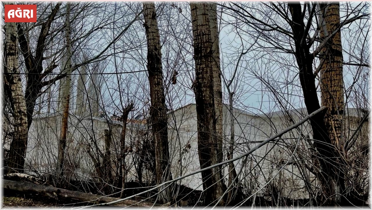 Ağrı'da kar fırtınası etkili oldu