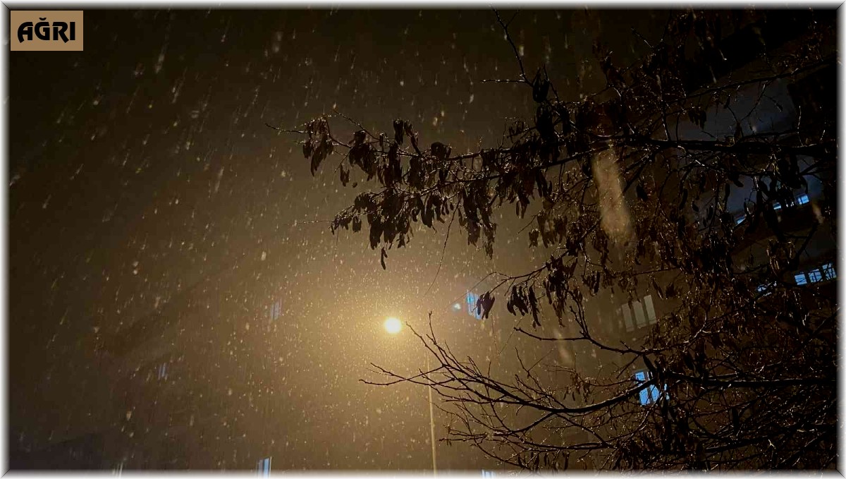 Ağrı'da kar yağışı etkisini gösterdi