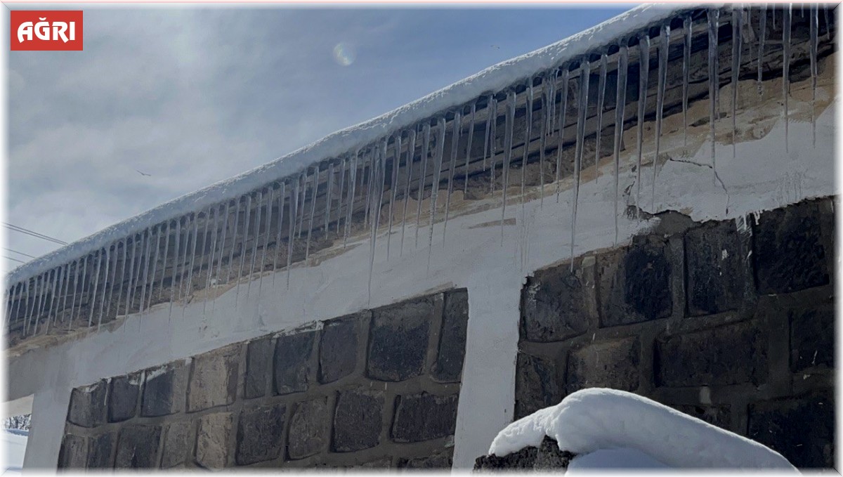 Ağrı'da kar yağışının ardından don etkili oldu