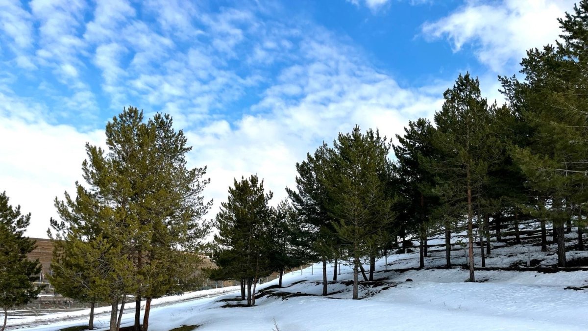 Ağrı'da kartpostallık kar manzaraları