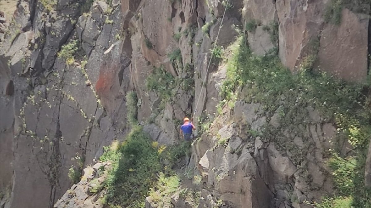 Ağrı'da kayalıklarda mahsur kalan keçiler kurtarıldı