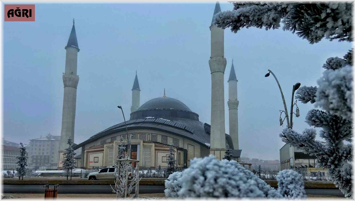 Ağrı'da kış manzarası göz kamaştırıyor