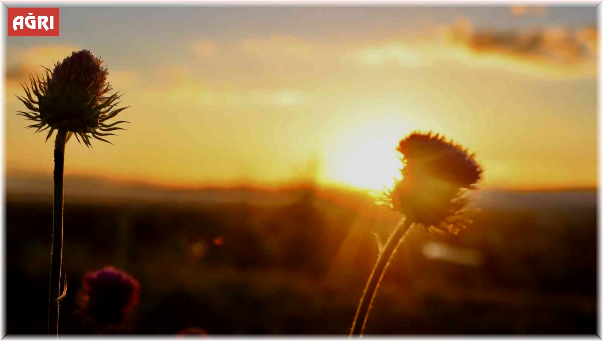 Ağrı'da kızıla boyanan gökyüzü büyüledi