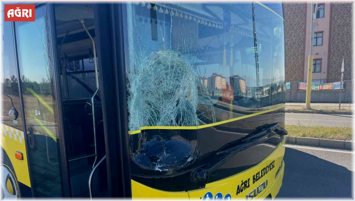 Ağrı'da meydana gelen kazada iki kadın hayatını kaybetti