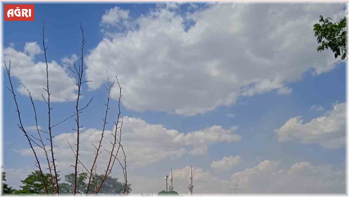 Ağrı'da mezar yangını