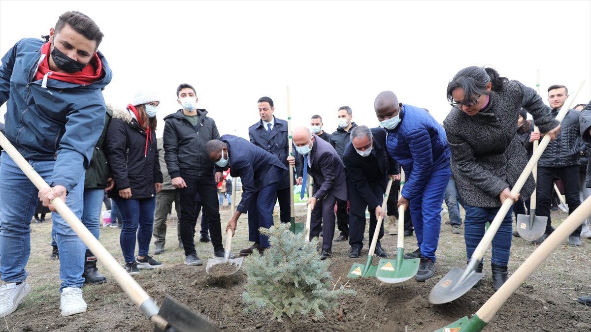 Ağrı'da 'Milli Ağaçlandırma Günü'nde fidanlar toprakla buluşturuldu