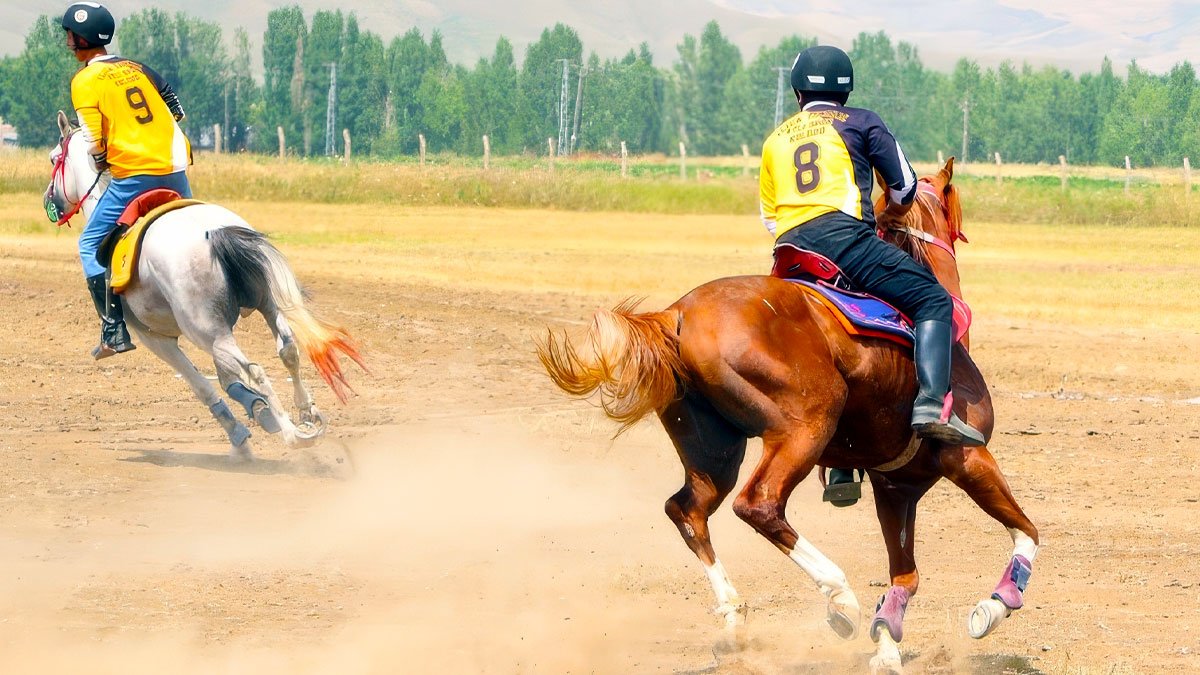 Ağrı'da Nefes Kesen At Yarışları: 4 Kupada Büyük Heyecan