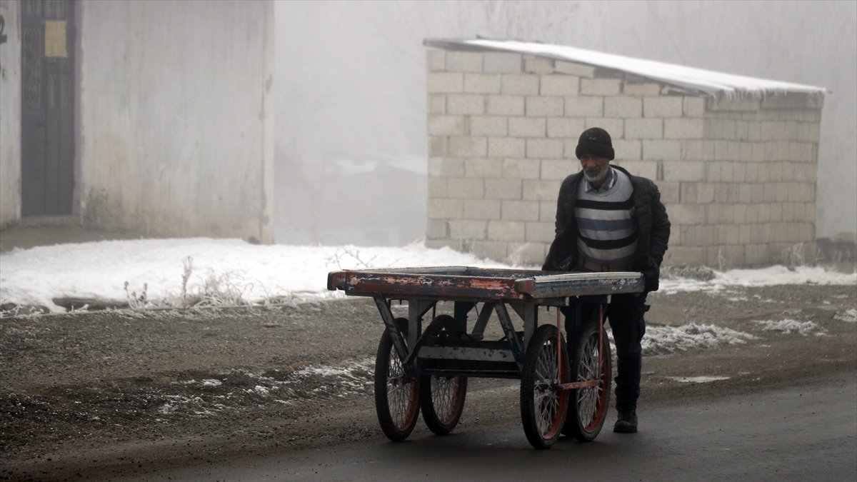 Ağrı'da nehirler dondu, ağaçlarda kırağı ile kapandı.