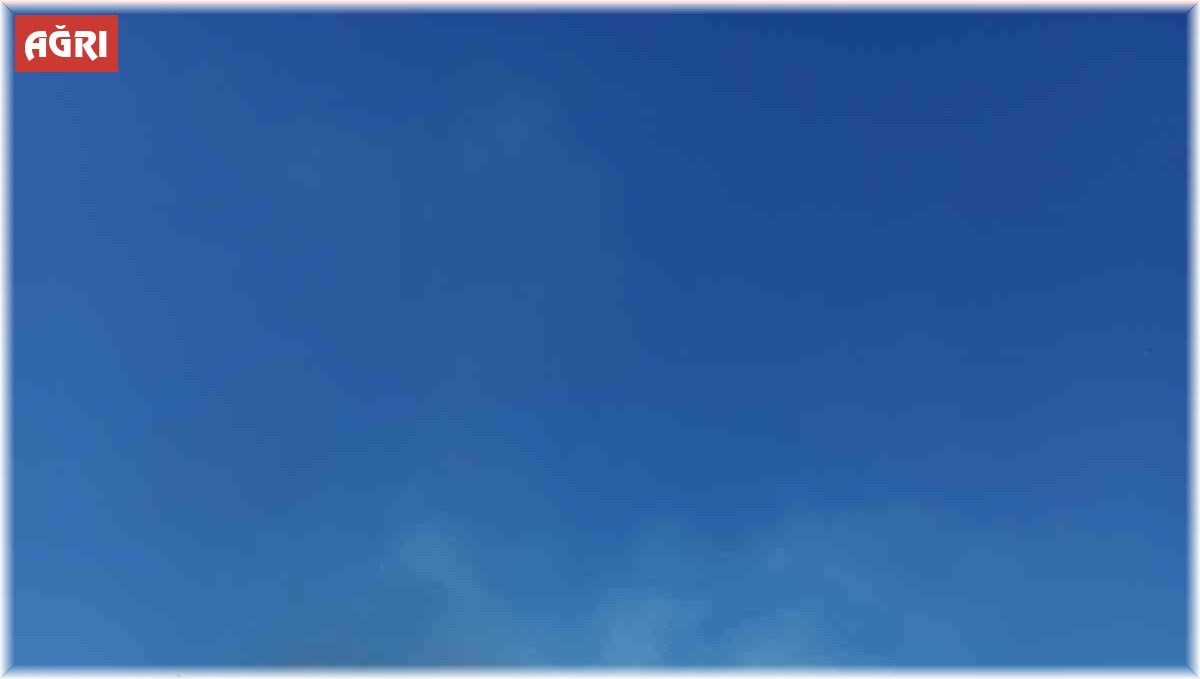 Ağrı'da onlarca dönüm ekili tarla küle döndü