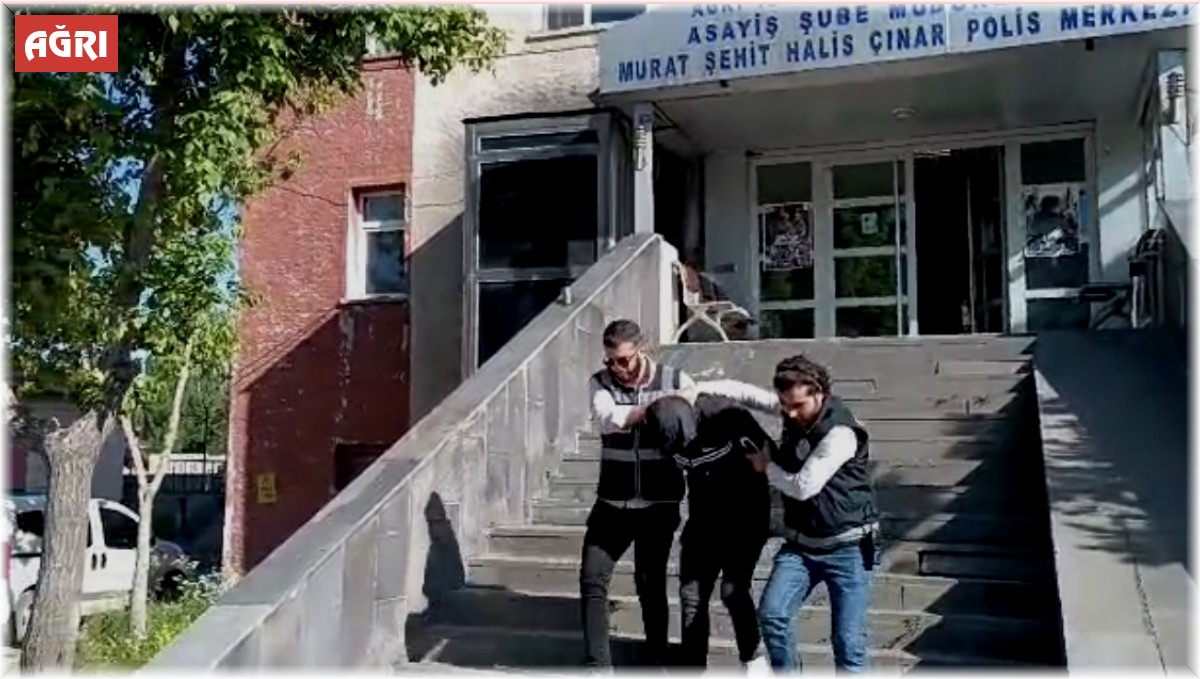 Ağrı'da oto faresi yakalandı