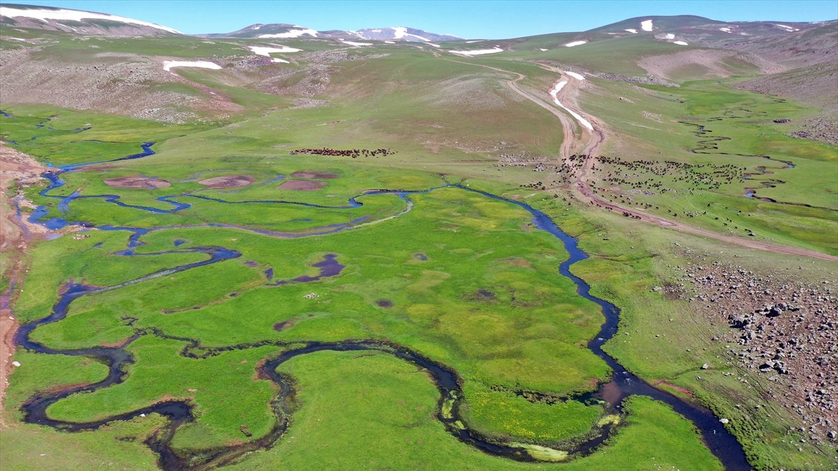Ağrı'da platolar arasındaki mendereslerde bahar güzelliği