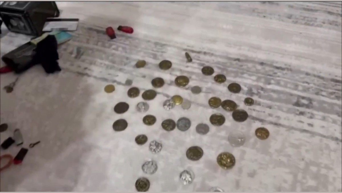 Ağrı'da sahte dolar ve tarihi eser operasyonunda 1 kişi tutuklandı