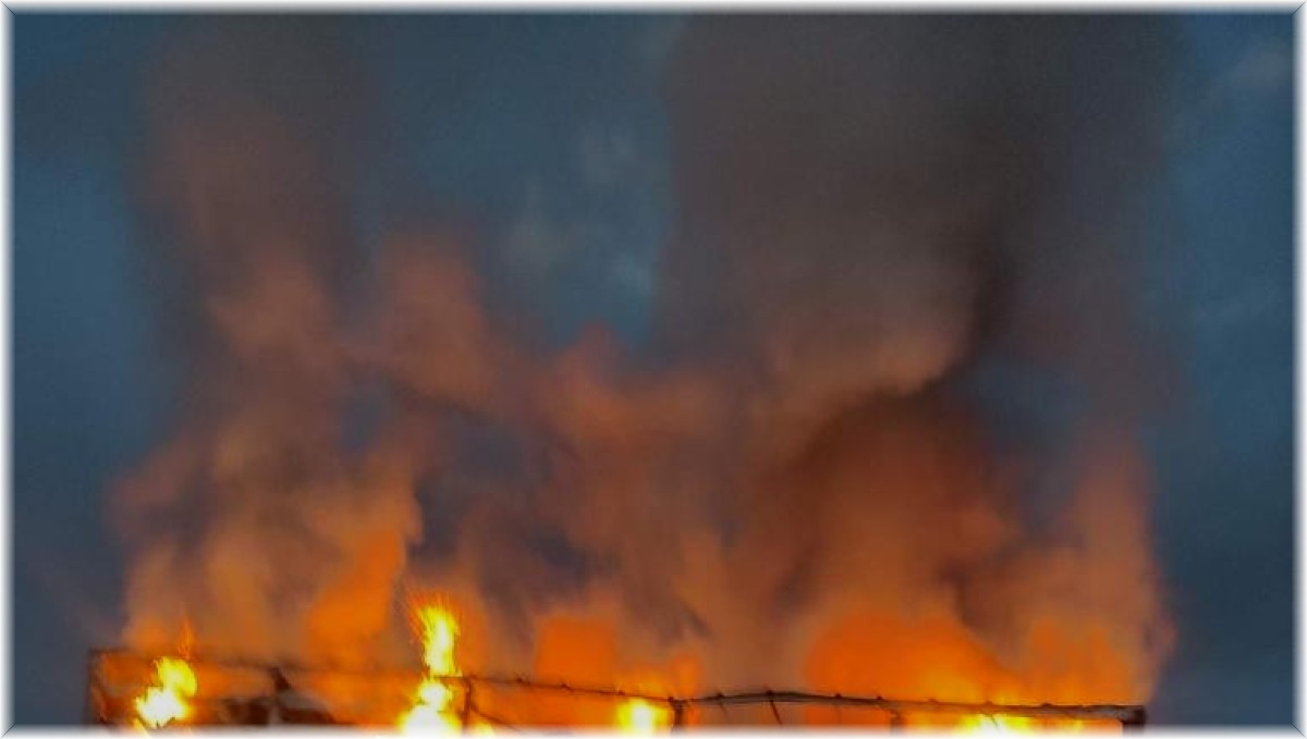 Ağrı'da seyir halindeki tır alev aldı