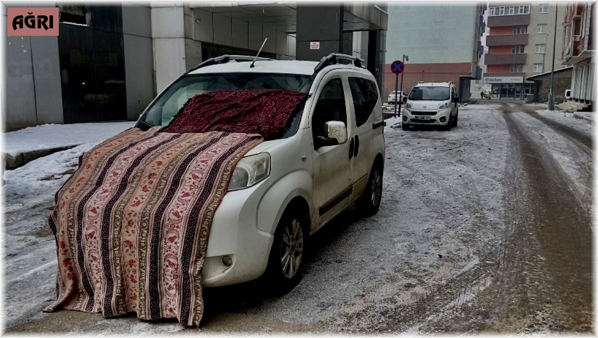 Ağrı'da Sibirya soğukları etkili olmaya başladı