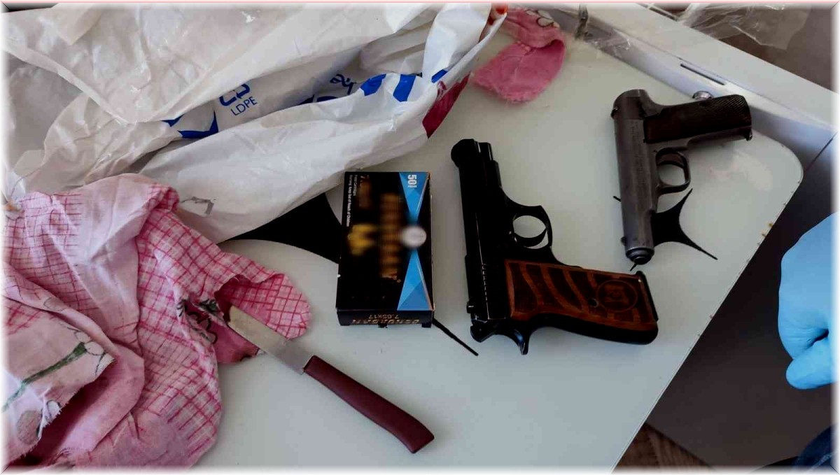 Ağrı'da silah kaçakçılarına operasyon: 2 şahıs tutuklandı