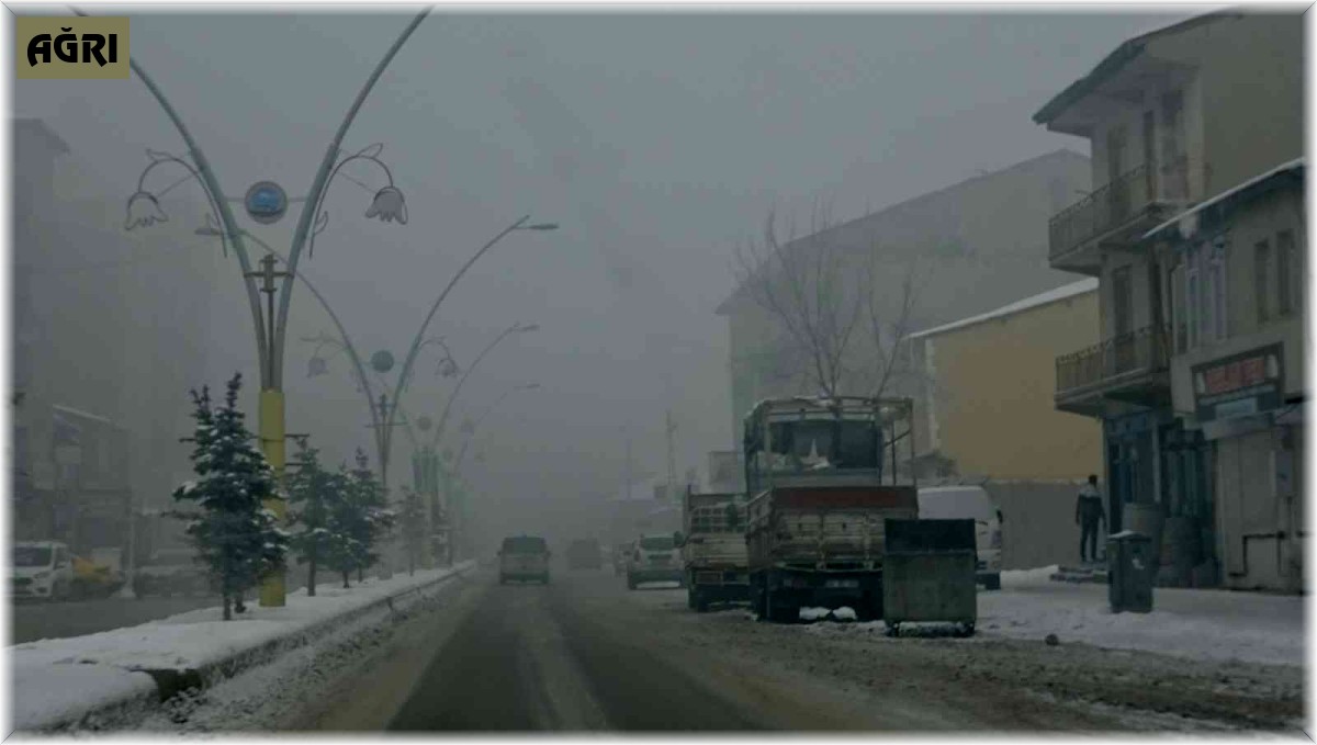 Ağrı'da sis hayatı olumsuz etkiledi