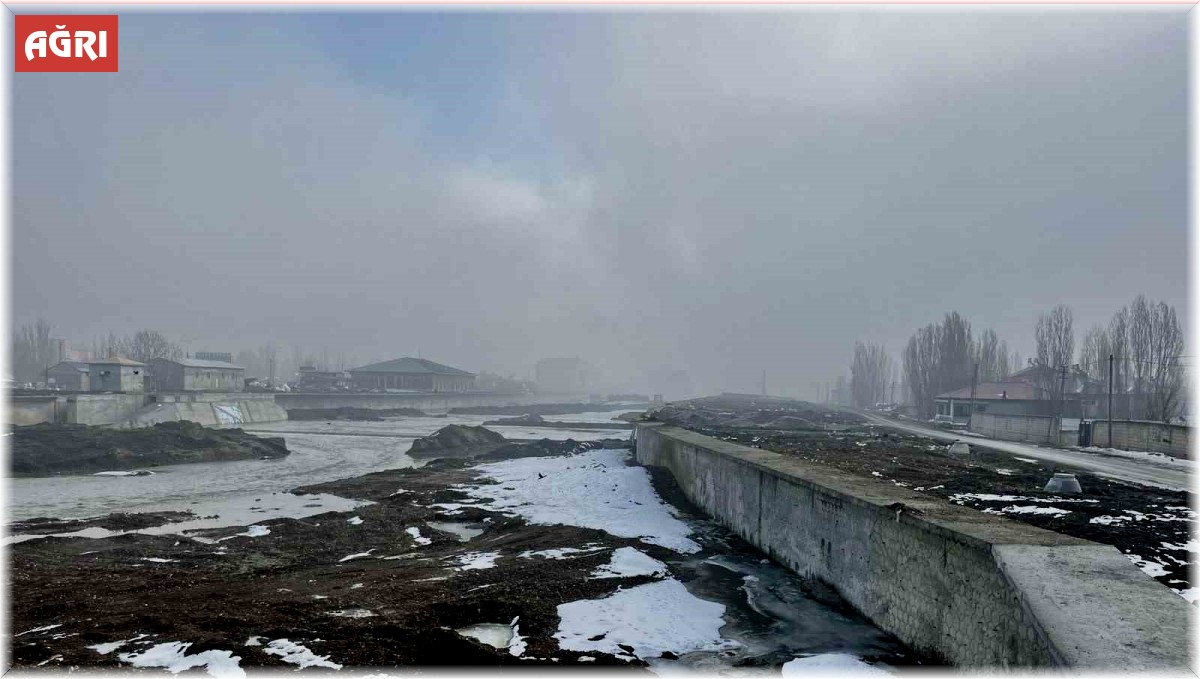 Ağrı'da sis ve don meydana geldi