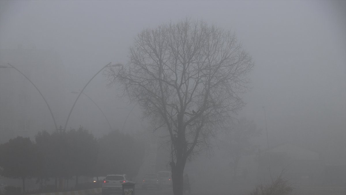 Ağrı'da soğuk hava etkili oluyor
