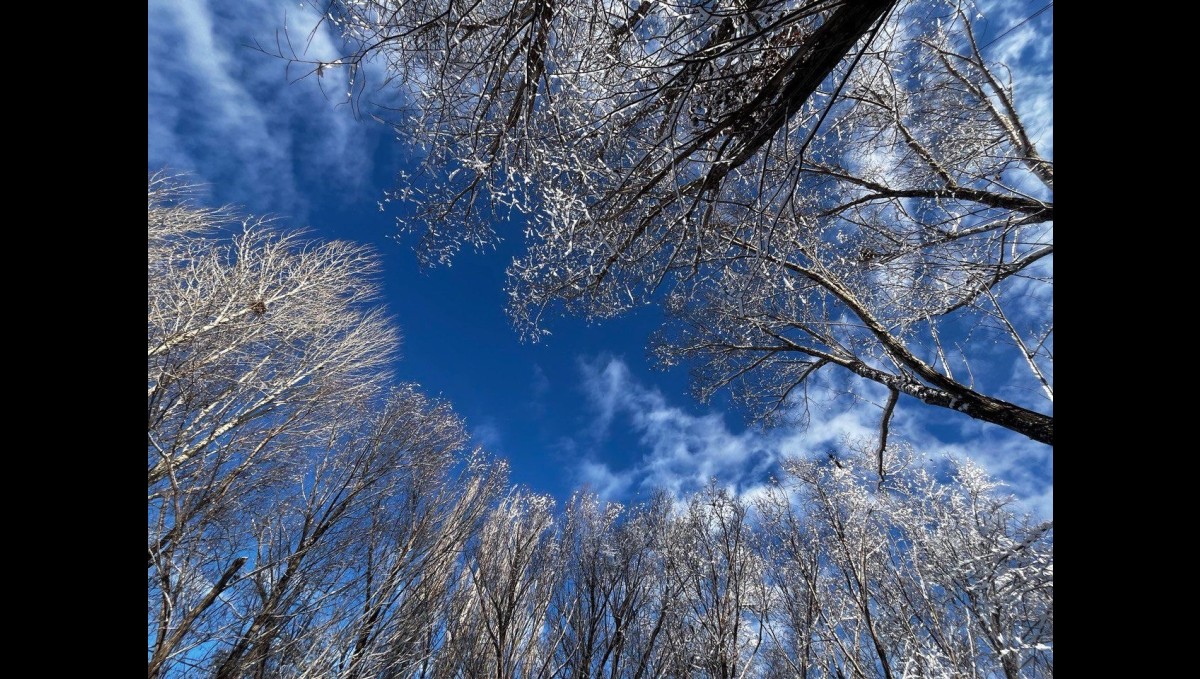 Ağrı'da soğuk hava etkisini sürdürüyor