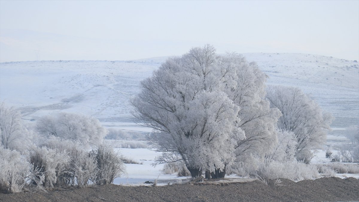 Ağrı'da soğuk hava ile sis etkili oldu
