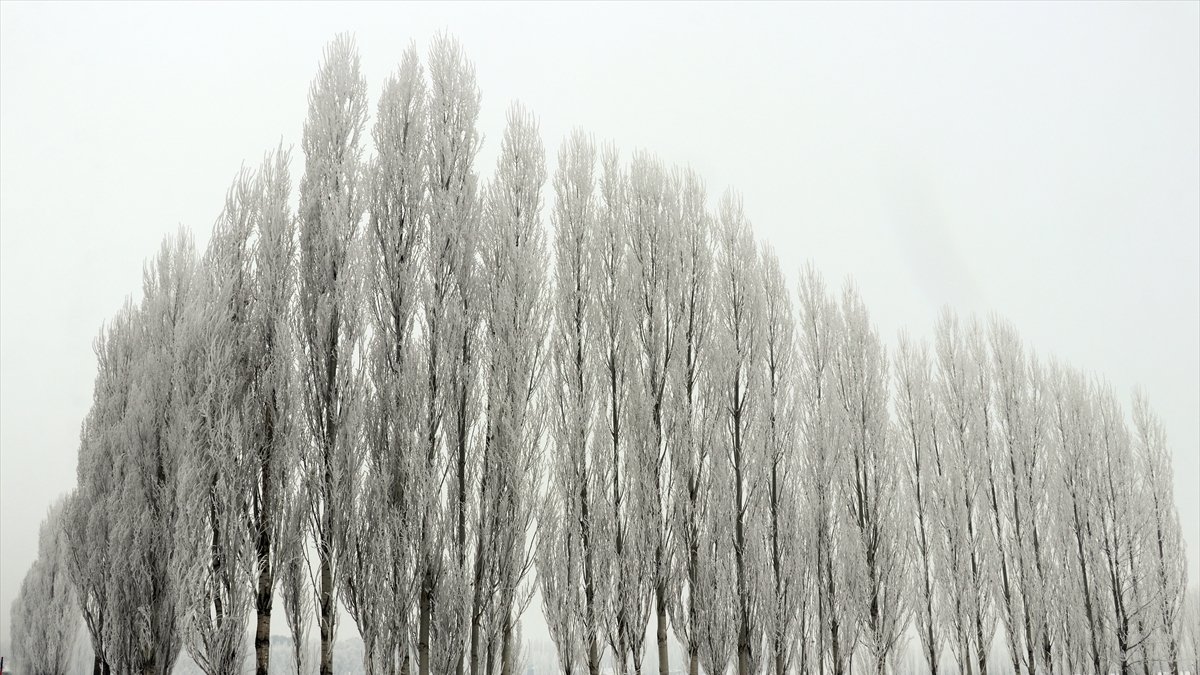 Ağrı'da soğuk hava yaşamı olumsuz etkiliyor