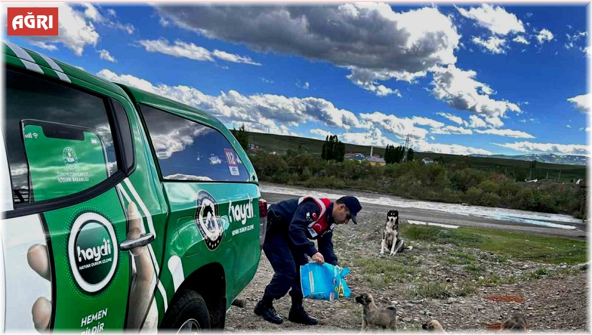 Ağrı'da sokak hayvanları unutulmadı