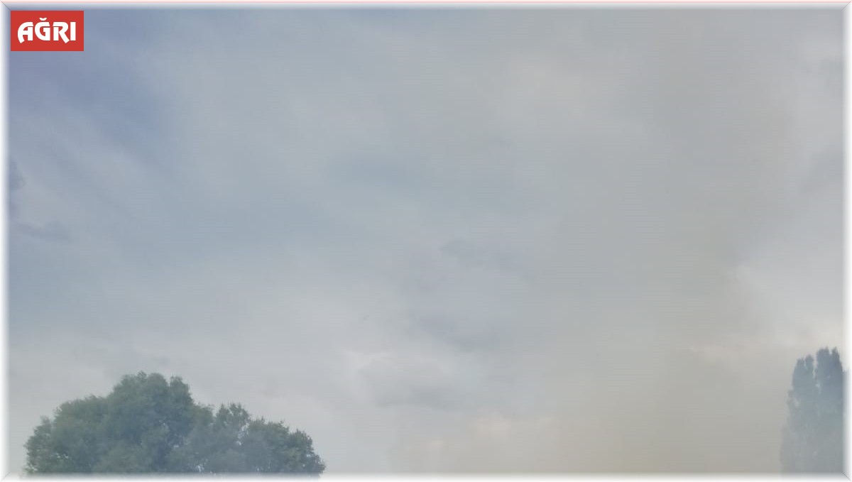 Ağrı'da tarla yangını