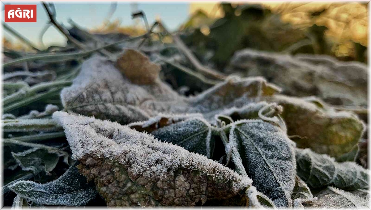 Ağrı'da termometreler eksi 2 dereceyi gösterdi