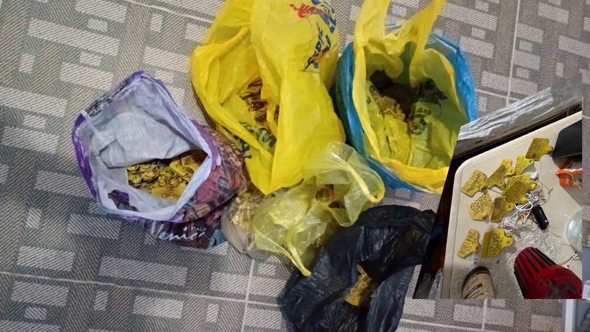 Ağrı'da Usulsüz Hayvan Sevk Belgesi Operasyonu: 9 Şüpheli Gözaltına Alındı