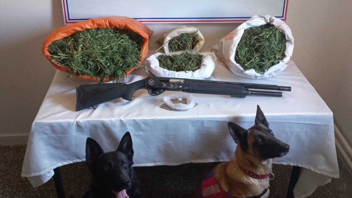 Ağrı'da uyuşturucu operasyonu