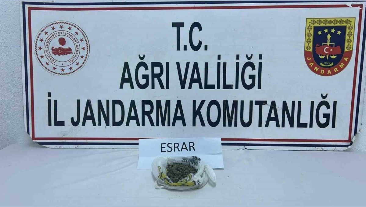 Ağrı'da uyuşturucu operasyonu: 511 kök kenevir ve 50 gram esrar ele geçirildi