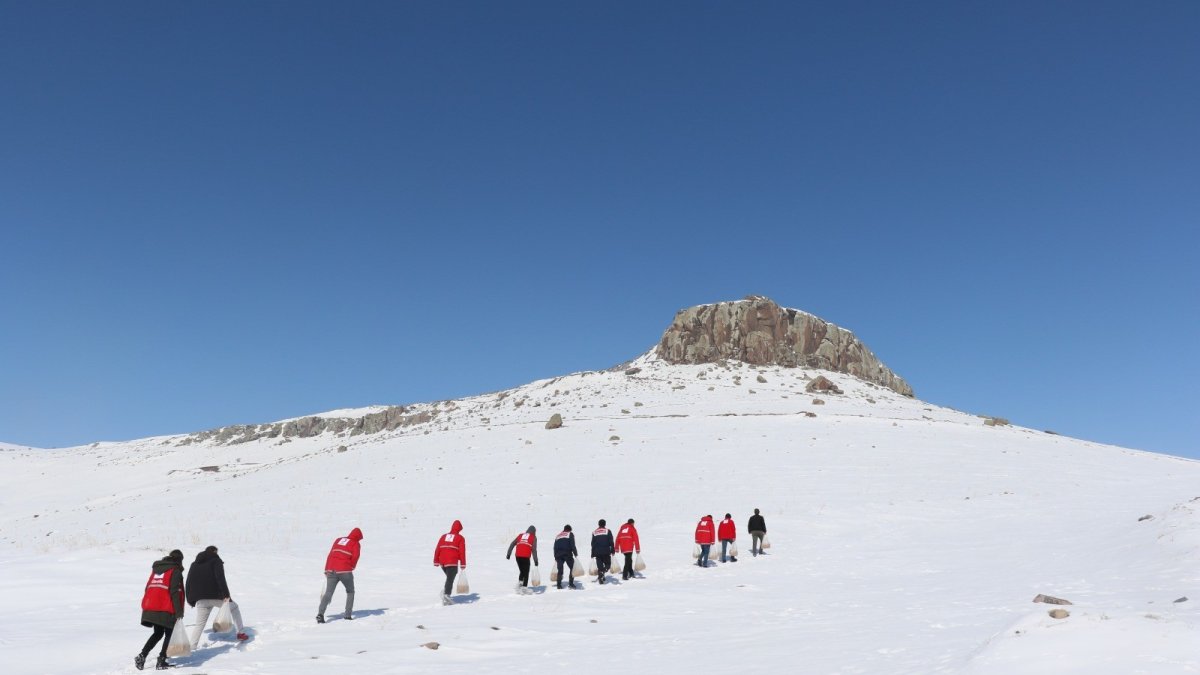 Ağrı'da yaban hayvanları için doğaya yem bırakıldı