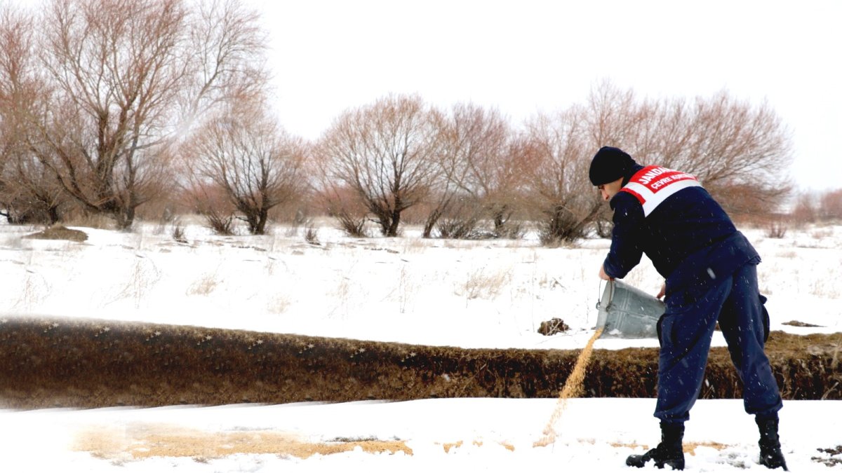 Ağrı'da yaban hayvanları unutulmadı