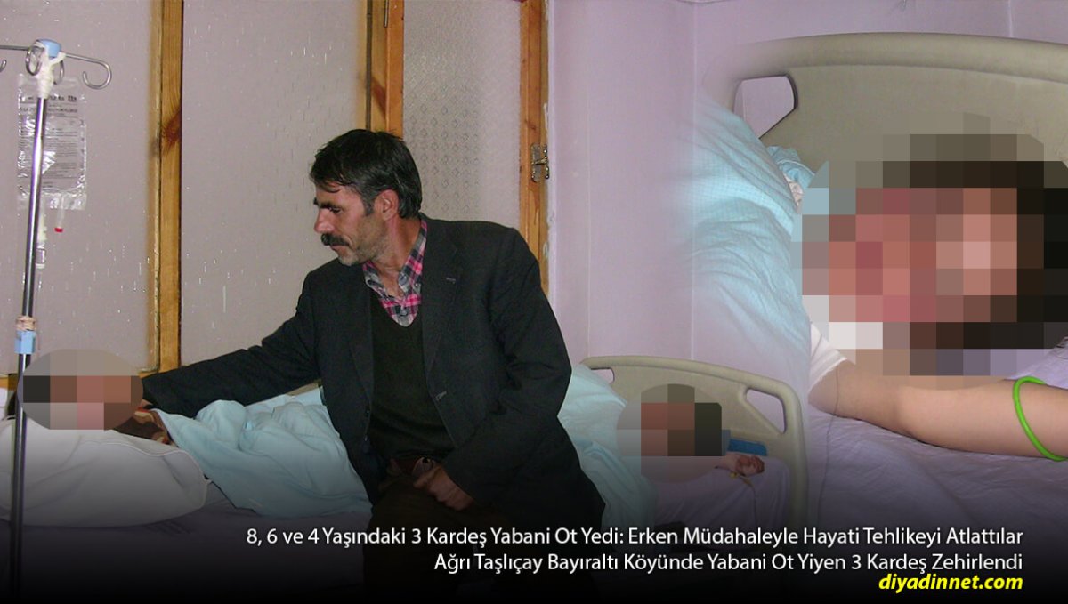 Ağrı'da Yabani Ot Yiyen 3 Kardeş Zehirlendi: Erken Müdahale Hayatlarını Kurtardı