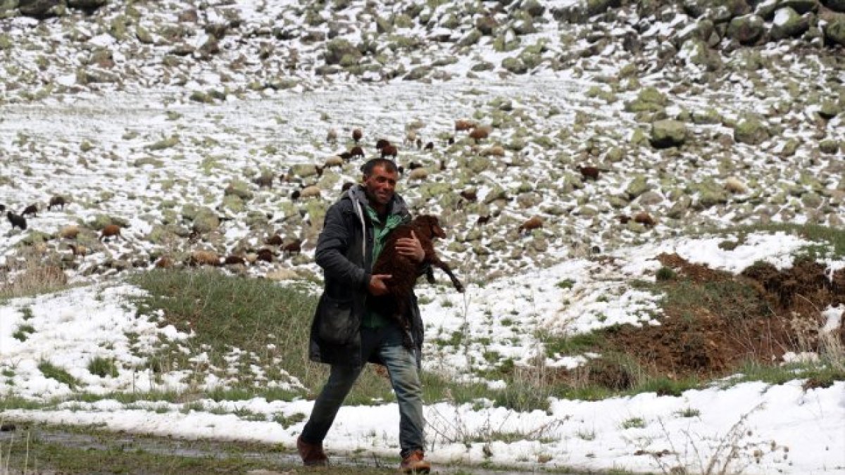 Ağrı'da yayla yolundaki göçerler sürüleriyle kara yakalandı