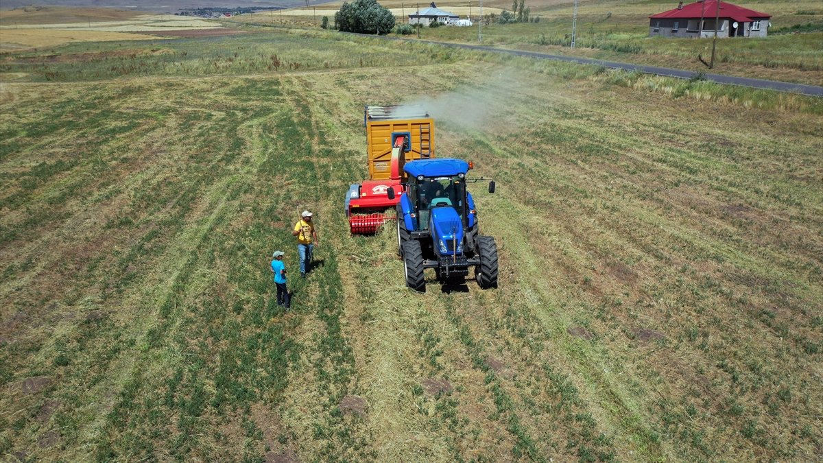 Ağrı'da yaylalar ve köylerdeki ot verimi çiftçinin yüzünü güldürüyor