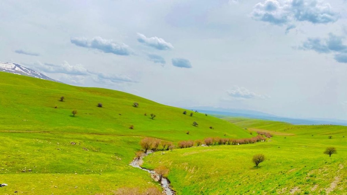 Ağrı'da yeniden canlanan doğa büyülüyor
