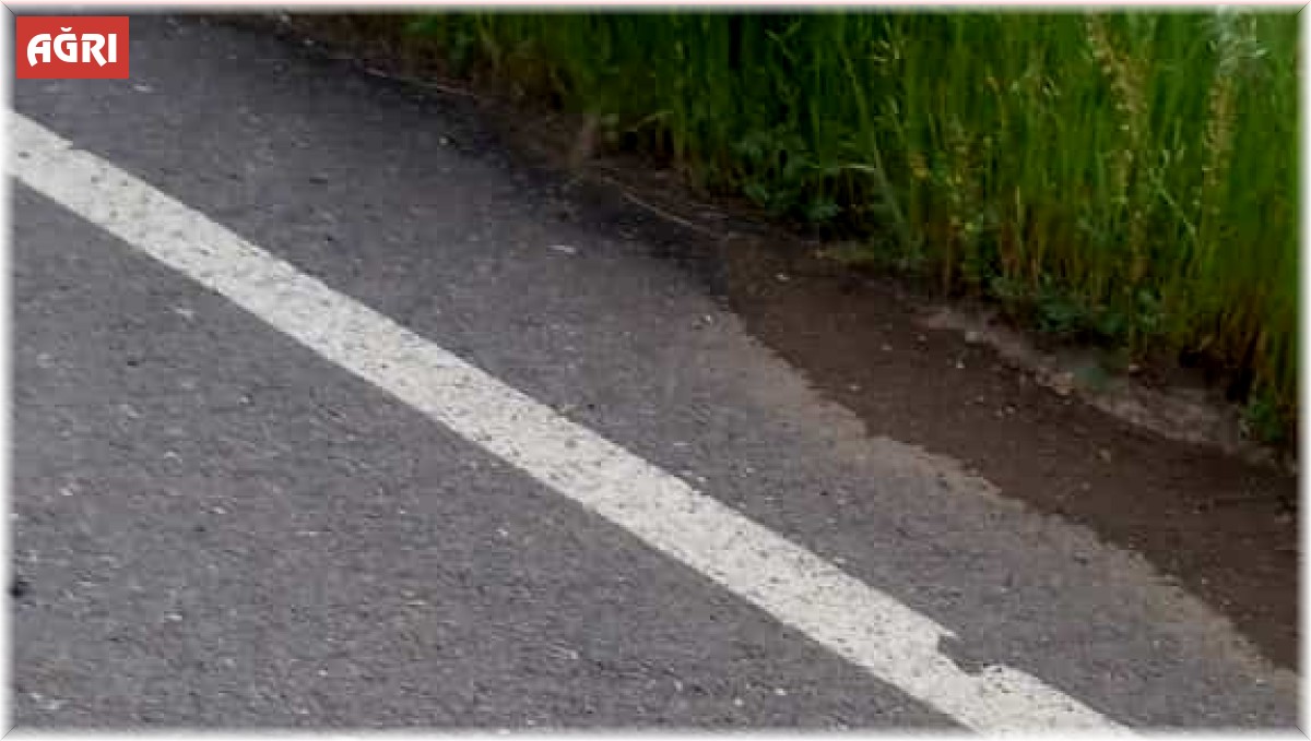 Ağrı'da yılanlar paniğe neden oldu