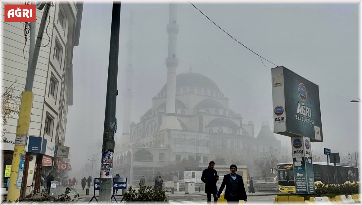 Ağrı'da yoğun sis etkili oldu