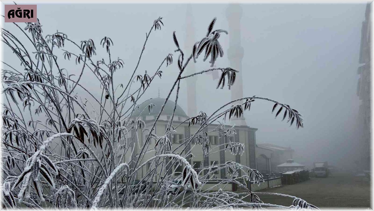 Ağrı'da yoğun sis etkili oldu