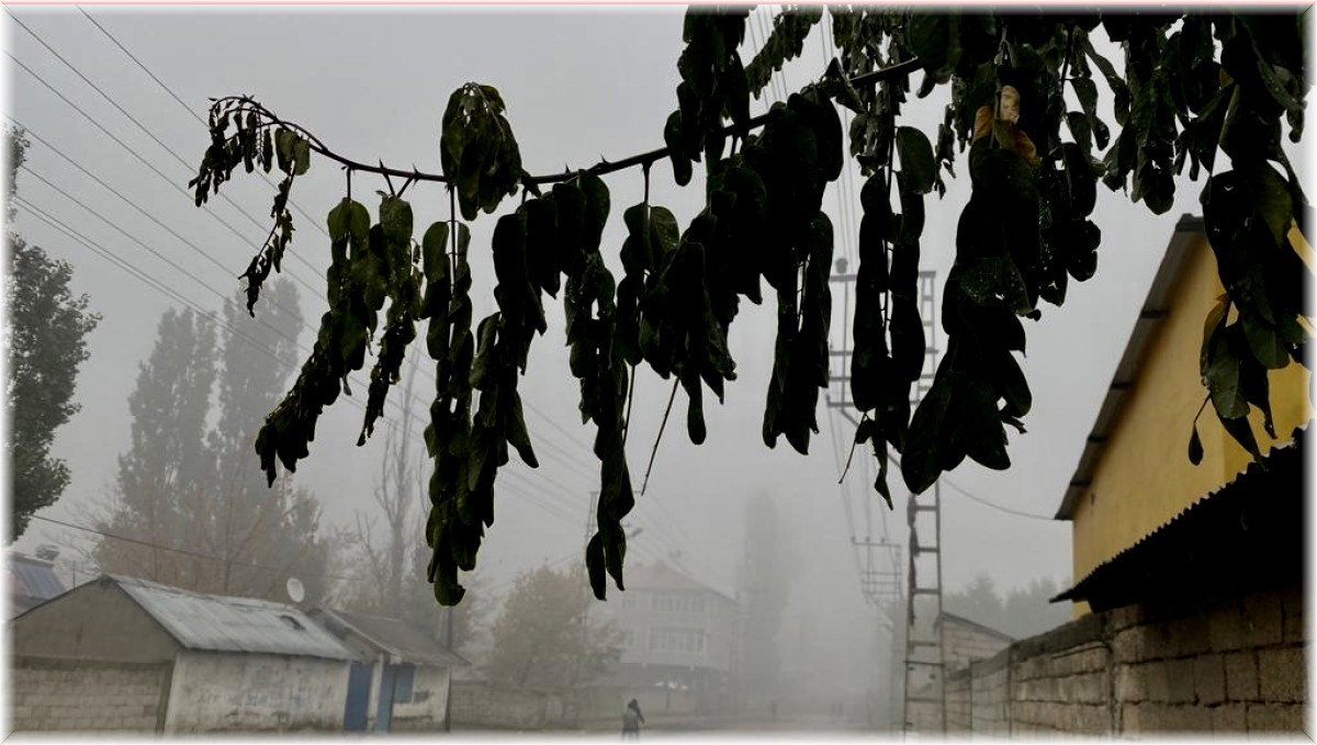 Ağrı'da yoğun sis etkili oldu