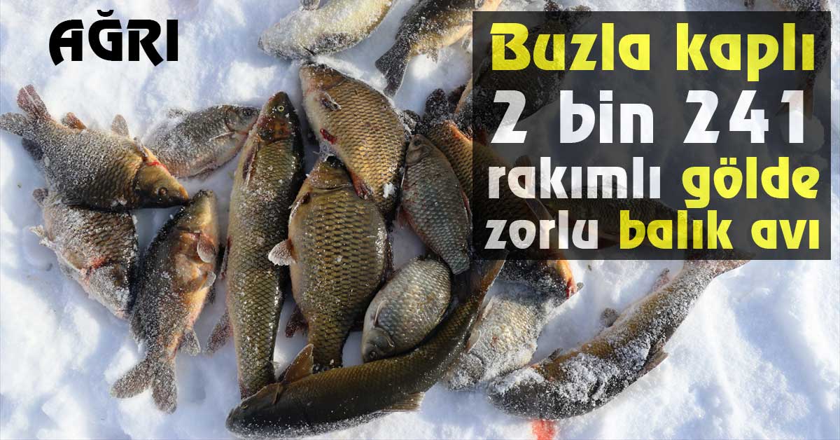 Ağrı'da yüzeyi buzla kaplanan 2 bin 241 rakımlı Balık Gölünde zorlu balık avı