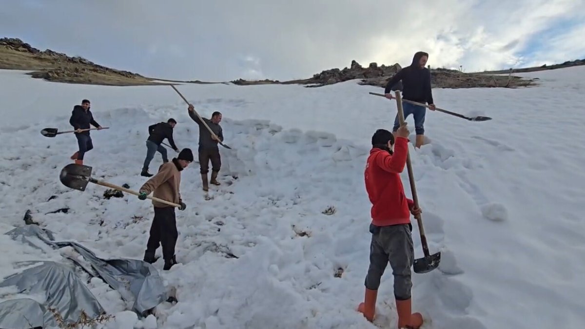 Ağrı Dağı eteklerinde kar depoluyorlar, hayvanlar için suyu böyle sağlıyorlar