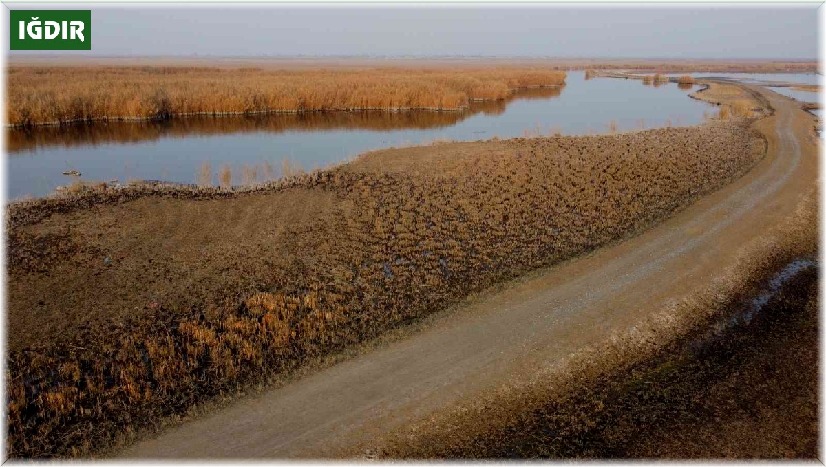 Ağrı Dağı eteklerinde yer alan Karasu'nun suyu çekiliyor